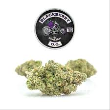 Blackberry Marijuana Strain
